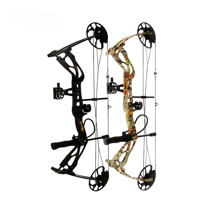 Accmos tir à l'arc Dragon X8 c - Outdoor Sport Drawing avis et prix